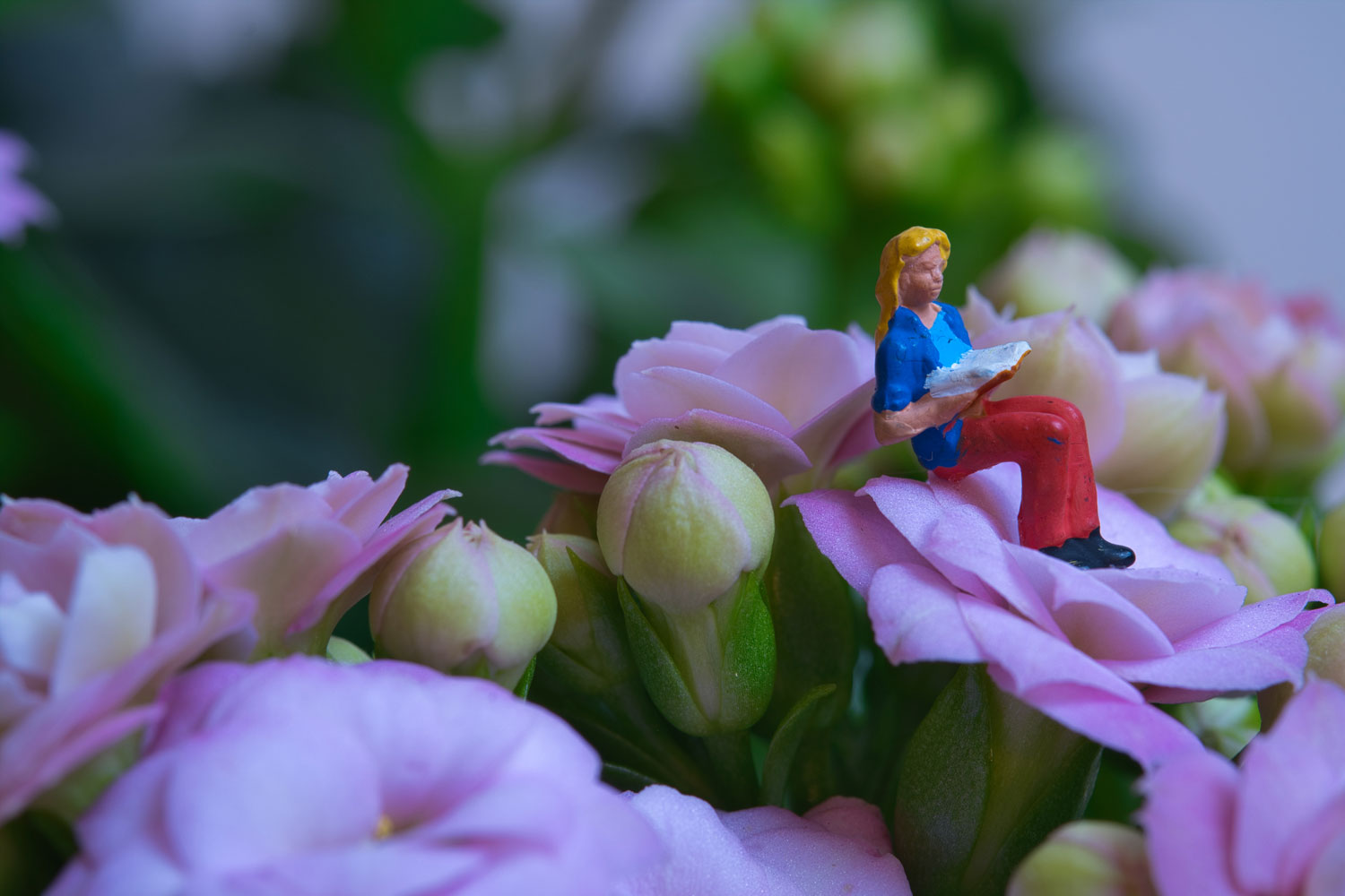 terapia psicológica online o presencial málaga lucia agudo