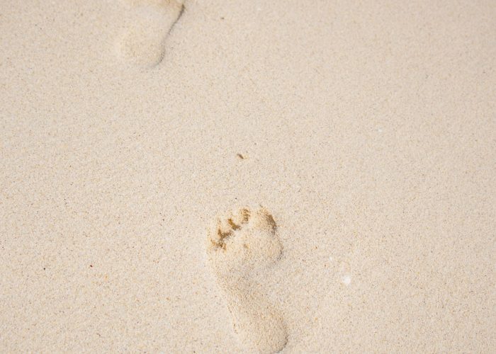 Psicóloga grupo apoyo pérdida Psicóloga grupo apoyo pérdida